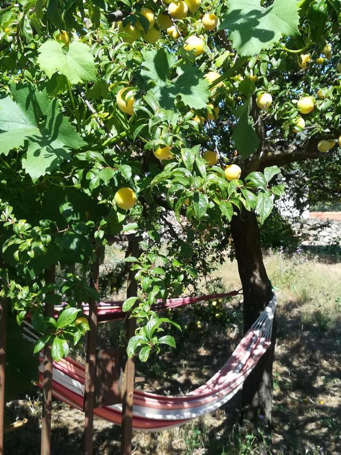 Bed and Breakfast Solar Dos Carvalhos Sernancelhe Zewnętrze zdjęcie